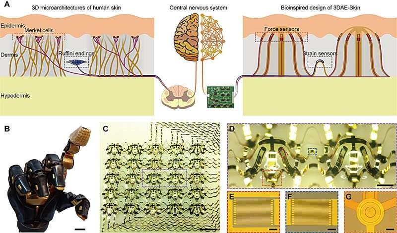 新型电子皮肤利用 3D 结构模仿人类触觉