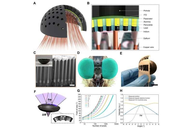 新的复眼设计可以提供廉价的方式来赋予机器人昆虫般的视觉