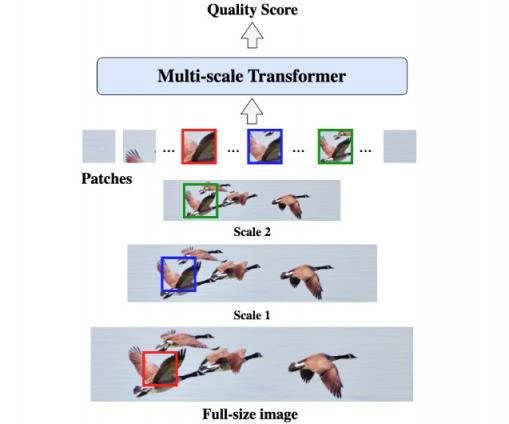 MUSIQ：使用多尺度变换器评估图像美学和技术质量